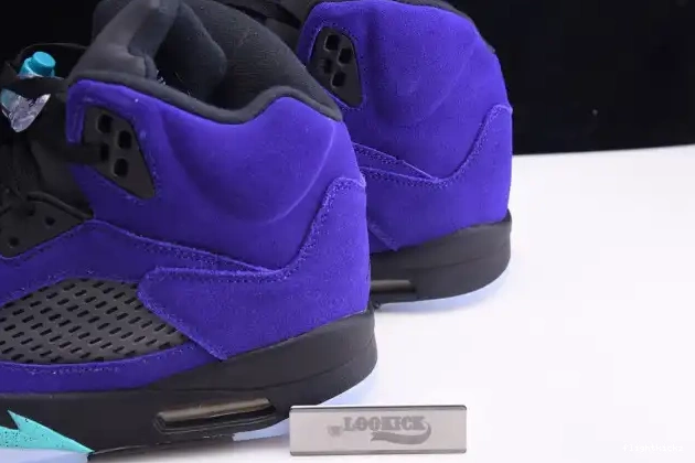 Grape 136027-500 Alternate 5 Retro Jordan Air 0509